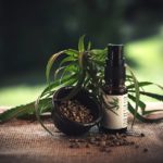 cbd öl gegen panikattacken