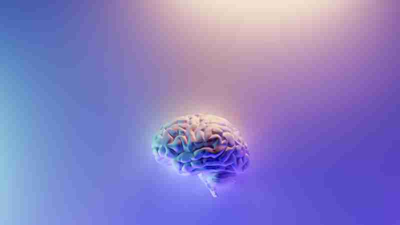 w, tags: neue genetische form der alzheimer-krankheit - images.unsplash.com